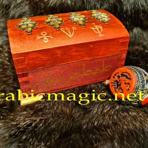 The Talismanic Jinn Ring of The Marid Sorcerer Zarim of the Jinn Tribe of The Scorpions