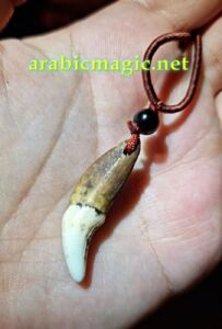 wolf-charm - Wolf’s Tooth Arabic Protection Amulet, Shield Against All Evil, Curse &amp;amp; Hexes Removal, Unlimited Protective Charm