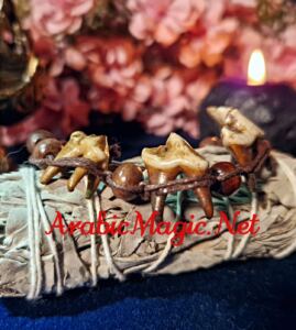 Camel-Tooth-Amulet - The Magical Camel Tooth Bracelet, Spiritual Protection Against Harmful Influences, Bad Luck Removal, Favorable Future