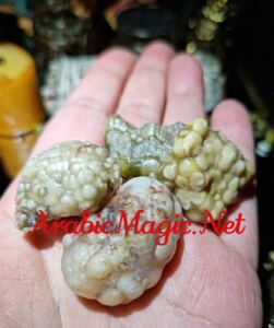 Nagamani-Snake-Cobra-Pearl - Real Nagamani Snake Pearl Bezoir, Njmat al-Hayyah &amp;#8220;The Star of the Serpent&amp;#8221;, Mustika Magical Snake Stones